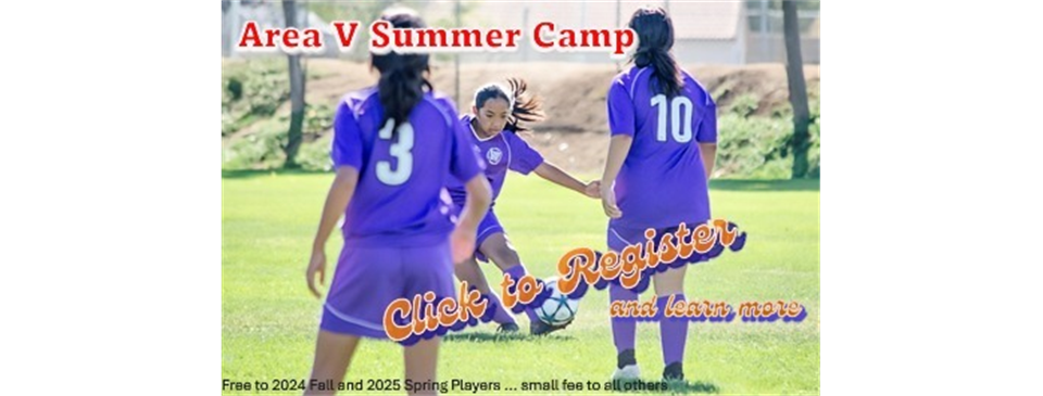 Area V Summer camp